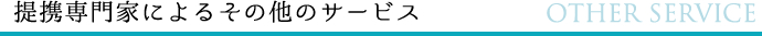 提携専門家によるその他のサービス